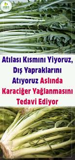 Karaciger Yaglanmasini Tedavi Ediyor Health Detox Health Herbalism