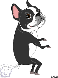 Typical Boston Boston Terrier Funny Boston Terrier Art Boston Terrier Dog