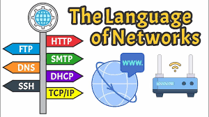 Image result for Computers Internet Protocols FTP Search Engines