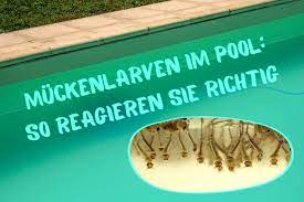Als chemisches und kostengünstiges mittel bietet sich chlor zwar an, allerdings reagieren einige menschen empfindlich. Muckenlarven Im Pool So Reagieren Sie Richtig