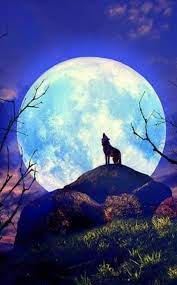 pin de douglas king en wolf s pictures imagen digital fotos de lobo pintura del lobo