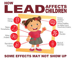 Image result for Lead Poisoning