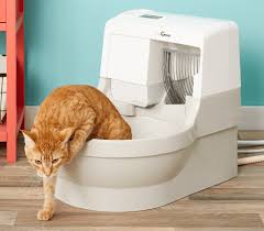 Cleaning the mess out is after about 6 weeks of using cat genie, i've discovered a delightful added bonus: Catgenie 120 Self Cleaning Cat Litter Box Full Review For 2021