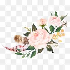With these tree png images, you can directly use them in your design project without cutout. Free Png Flowers Free Flowers Png Transparent Images 10052 Pngio