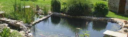 Ma Piscine Naturelle Posts Facebook