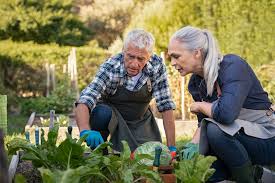 Never was i offered an apology or any type of understanding customer services. Baby Boomers Outdo Millennials In Green Living Study