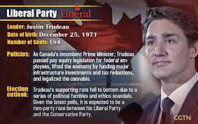His experiences as a teacher, father, leader, and advocate for youth have shaped his dedication to canadians. Canada Federal Election Who S Who Cgtn