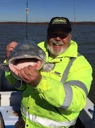 Kelly Lane Lowman Obituary (2022)