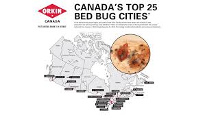 The main reason why you should choose the pestong pest control service is that the government fully licenses all our services. North Bay Makes Canada S Top Bed Bug Cities List Country 600