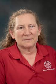 Dairy Programming Team — The Climate Adaptation and Mitigation Fellowship