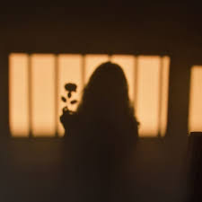 pin von ريتان بنت محمد auf a song of roses schattenfotos schatten fotografie schattenbilder