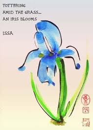 Issa My Favorite Flower Is An Iris Japanese Haiku Haiku Poems Haiku Poetry