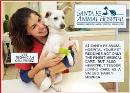 Our small, experienced staff means personal service. David Shaffer Dvm 4100 Santa Fe St Corpus Christi Tx 78411 Yp Com