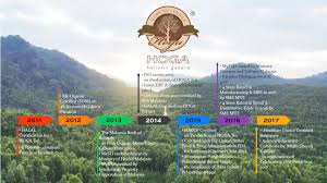 • 3 980 просмотров 4 года назад. Hoga Heritage Hoga