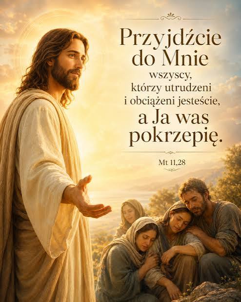 XIV Niedziela zwykła- 05.07.2026 – Parafia bł. Wincentego Kadłubka w Domaszowicach