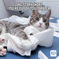 Funniest cat videos ever in the world #2. 45 Cat Memes You Ll Laugh At Every Time Reader S Digest