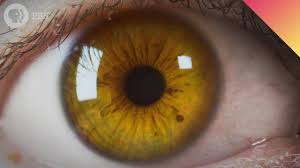 Confident and self assured, you truly believe in the gifts you have been given. Is Your Eye Color Real Youtube