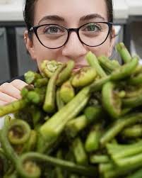 A cross between a cucumber 🥒 and a melon 🍈 aka kachri or dosakai from  Rajasthan. They're similar to the mini cucamelons I'd find in Europe 🍉 but  these ones are much
