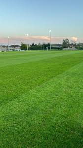 Dean Crutcher (@deancrutch)