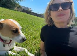 Standard Issue License Plate from Connecticut