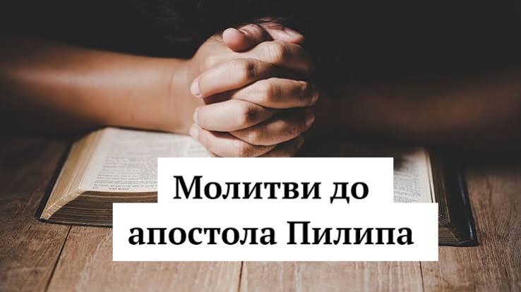 https://encrypted-tbn0.gstatic.com/images?q=tbn:ANd9GcSCtcCDxkGupwqaQVp6woE2ZKcLyI4ooA1pBigNQU3o0w&s=10