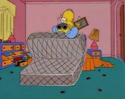 Kuvahaun tulos haulle homer simpson hide