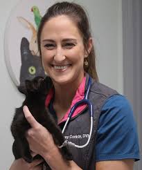 Best Veterinary Hospital In Lee's Summit, MO