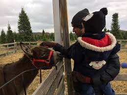 Winter activities and services christmas tree types at zurbrugg farms Christmas Tree Farms In Columbus And Beyond