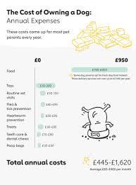 The insurance trade group says that accident and illness coverage per year averaged $473 for dogs and $285 for cats in 2014. The Cost Of Owning A Dog In The Uk 2020 The Dog People By Rover Com