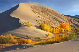 Mountain Home Id Bruneau Dunes State Park Site Of The Tallest Single Structured Sand Dune In North America The Dune Is 470 Feet High A Reizen Hoeden Duin