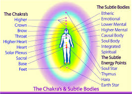 the human energy system your aura chakras subtle bodies