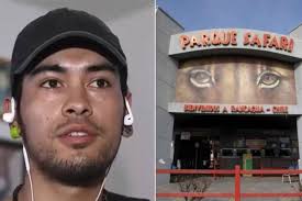 Es una burla": pololo de joven que murió por ataque de tigre revela que  Parque Safari lo quiso "despedir"