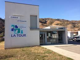 Clinique Vétérinaire de la Tour
