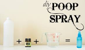 Not just for your guests but also for yourself and family members, a toxic bathroom smell is the last so, to counter that issue, it is best to make your bathroom smell clean all day long. Diy Poo Pourri Recipe To Save Money Get Rid Of That Stink
