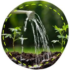 To lower the ph in a hot tub, you need to add a pool acid capable of dropping both the ph and total alkalinity. Nortembio Agro Organic Ph Reducer 5l Universal Use Descaler For Irrigation Systems Better Flavour And Aroma To Your Crops Amazon Co Uk Garden Outdoors