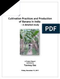 Iona college is a private catholic college in new rochelle, new york. Banana Reports Pdf Pdf Banana Edible Fruits