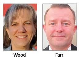 Assessor's seat up for grabs — The Platte County Citizen