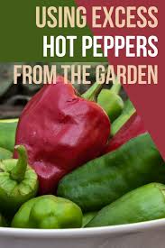Maybe you would like to learn more about one of these? 9 Ways To Use Excess Hot Peppers From The Garden