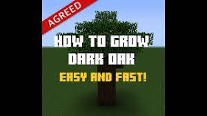After finding a dark oak tree grove. How To Grow Dark Oak Tree Minecraft Youtube
