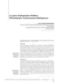Image result for Triplophyllum protensum