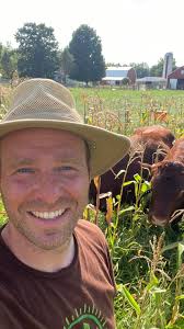 After we have eaten and put away our sweet corn, how satisfying when the  cattle and sheep not only clean up the spent sweet corn patch, but then  proceed to apply it