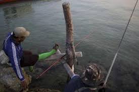 12) memancing dan apa jua cara untuk menangkap ikan di kawasan yang telah dizonkan larangan menangkap dan memancing ikan oleh perbadanan dan jabatan perikanan perak kecuali di zon yang dibenarkan sahaja Geliat Baronang Dari Pulau Lancang Halaman All Kompas Com