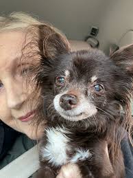 I lost a piece of me today. Rest easy, sweet soul.