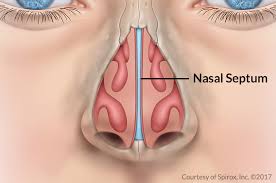 Read about the symptoms, causes, treatments and when to see a gp. Nasal Obstruction Septoplasty Ent Of Georgia South