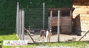 Coduri postale > coduri postale si prefixe telefonice in romania si europa. Pensiunea Teleptean In Deal La Acuta 2 Vadul Izei Cazare Maramures