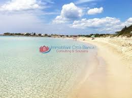 La casa quadrifamiliare con ingresso indipendente ben divisa da siepi perimetrali misura mq.88, vanta un ampio giardino di mq. Vendita Case Al Mare Ad Ostuni Puglia