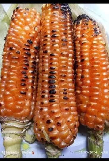 Try this when you visit Zimbabwe, especially during the cold winter season.  It's similar to having coffee or tea &mdash; but with a local twist: roasted  maize (corn). It's a delicious and