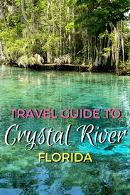 What about cost of living in crystal river, fl? Crystal River Travel Guide 5 Cool Things To Do In Crystal River Florida