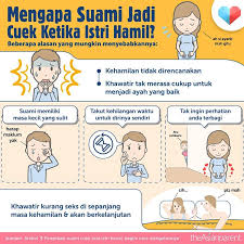 Pin Di Infographic
