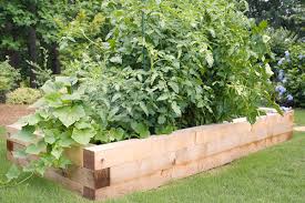A garden bed can be any size and shape. How And Why To Build A Raised Garden Bed